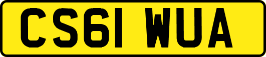 CS61WUA