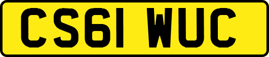 CS61WUC