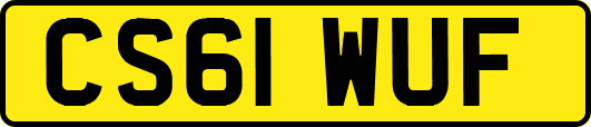 CS61WUF