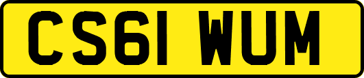 CS61WUM