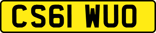 CS61WUO