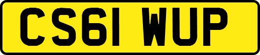 CS61WUP
