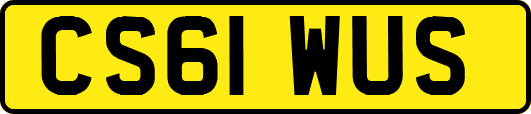 CS61WUS
