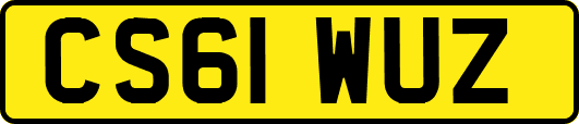 CS61WUZ