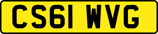 CS61WVG