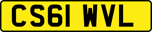 CS61WVL