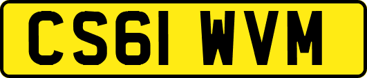 CS61WVM