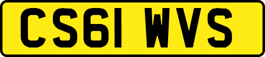 CS61WVS