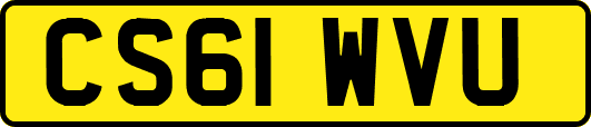 CS61WVU