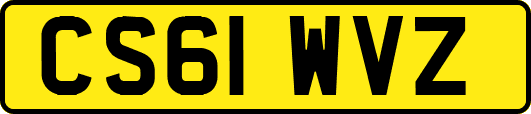 CS61WVZ