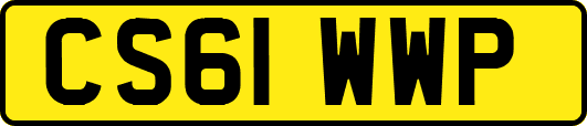 CS61WWP