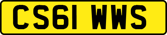 CS61WWS