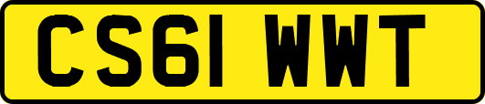 CS61WWT