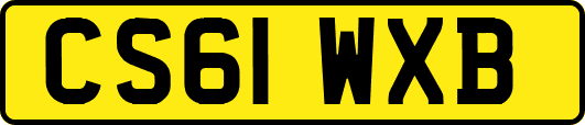 CS61WXB