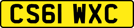CS61WXC