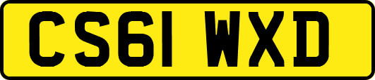 CS61WXD