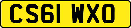 CS61WXO