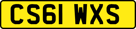 CS61WXS