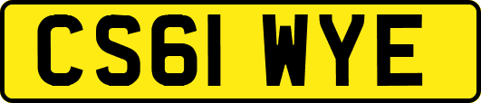 CS61WYE