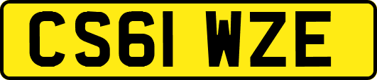 CS61WZE