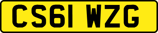 CS61WZG