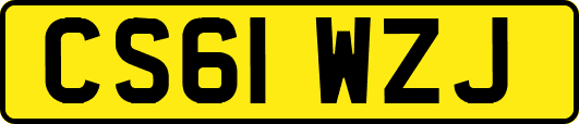 CS61WZJ