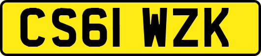 CS61WZK