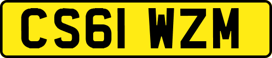 CS61WZM