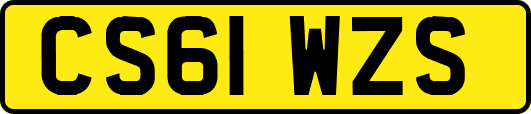 CS61WZS