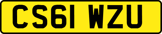 CS61WZU
