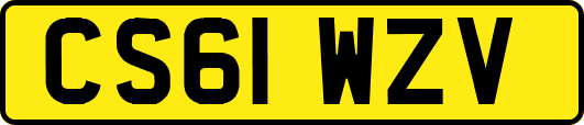CS61WZV