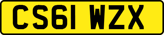 CS61WZX