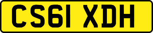 CS61XDH