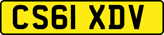 CS61XDV