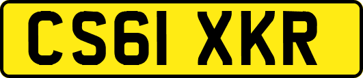 CS61XKR