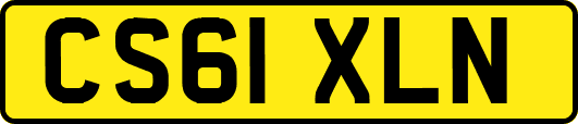 CS61XLN
