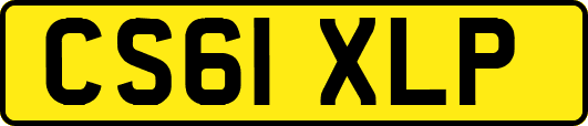 CS61XLP