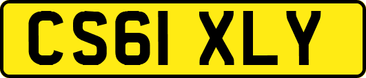 CS61XLY