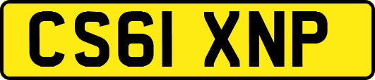 CS61XNP