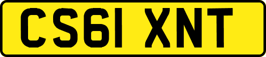 CS61XNT