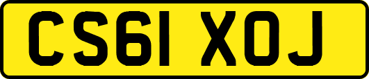 CS61XOJ