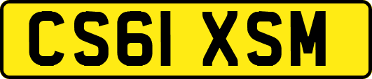 CS61XSM