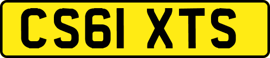 CS61XTS