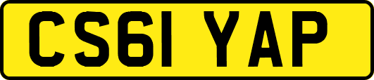 CS61YAP