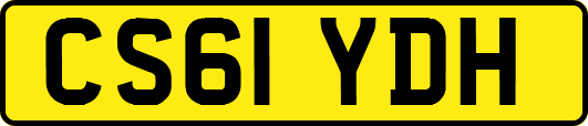 CS61YDH