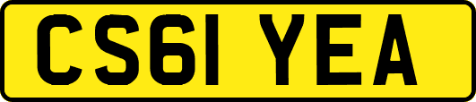 CS61YEA