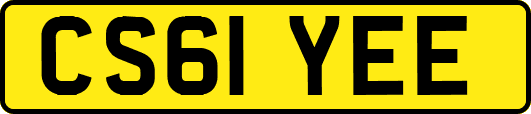 CS61YEE