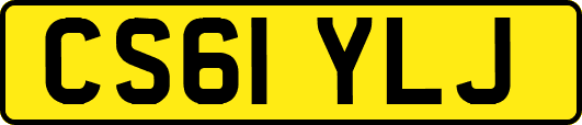 CS61YLJ