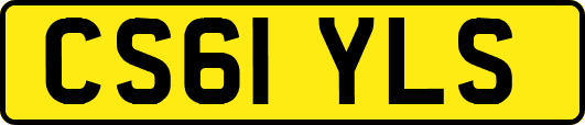 CS61YLS