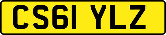 CS61YLZ